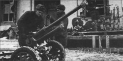 1/35   -  : 1754836595_scale_1200.jpg