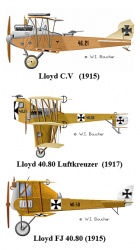 Choroszy Modelbud 1/72 Lohner Type AA: 1755421041_post-46698-0-06269500-1347404429.jpg