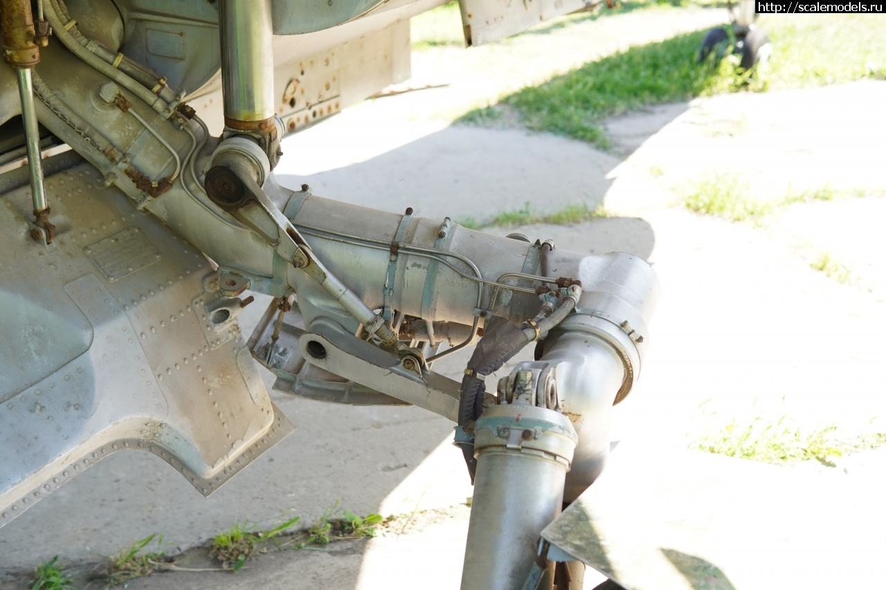 1757828035_IMG_6210.JPG : Walkaround -23   