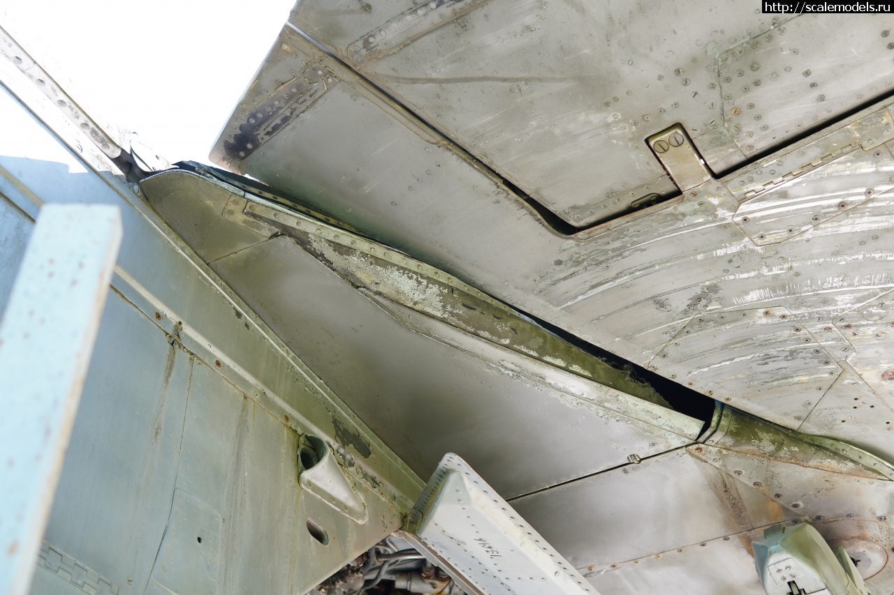 1757828091_IMG_6214.JPG : Walkaround -23   