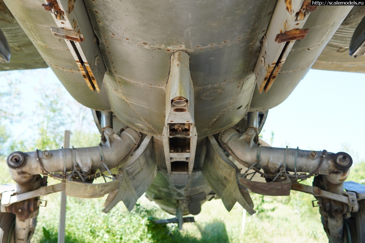 1757828363_IMG_6231.JPG : Walkaround -23   