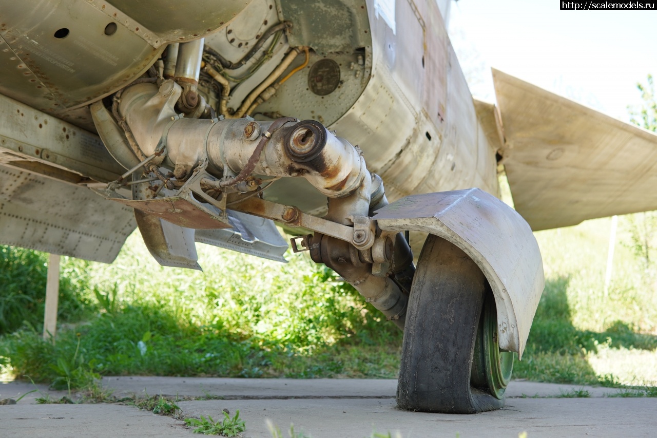 1757828425_IMG_6235.JPG : Walkaround -23   