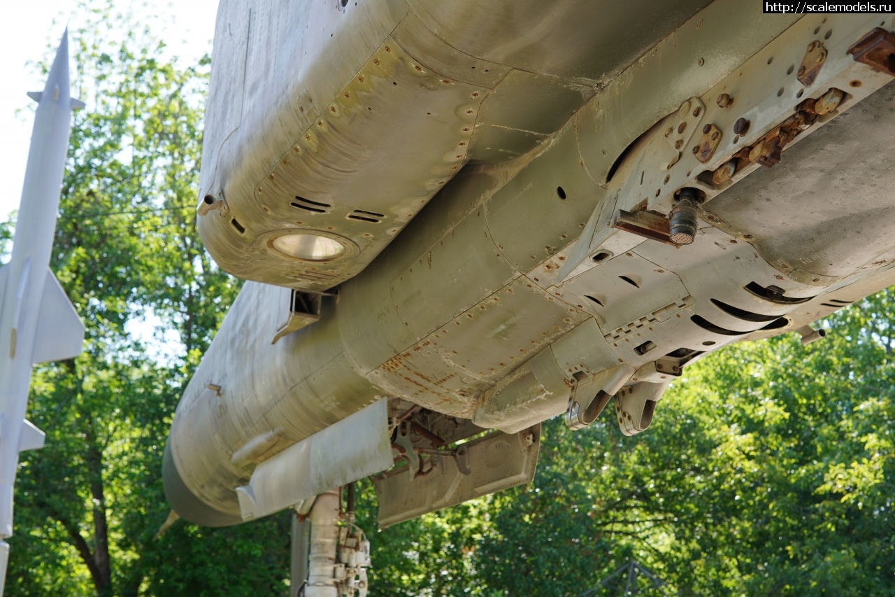 1757828484_IMG_6240.JPG : Walkaround -23   