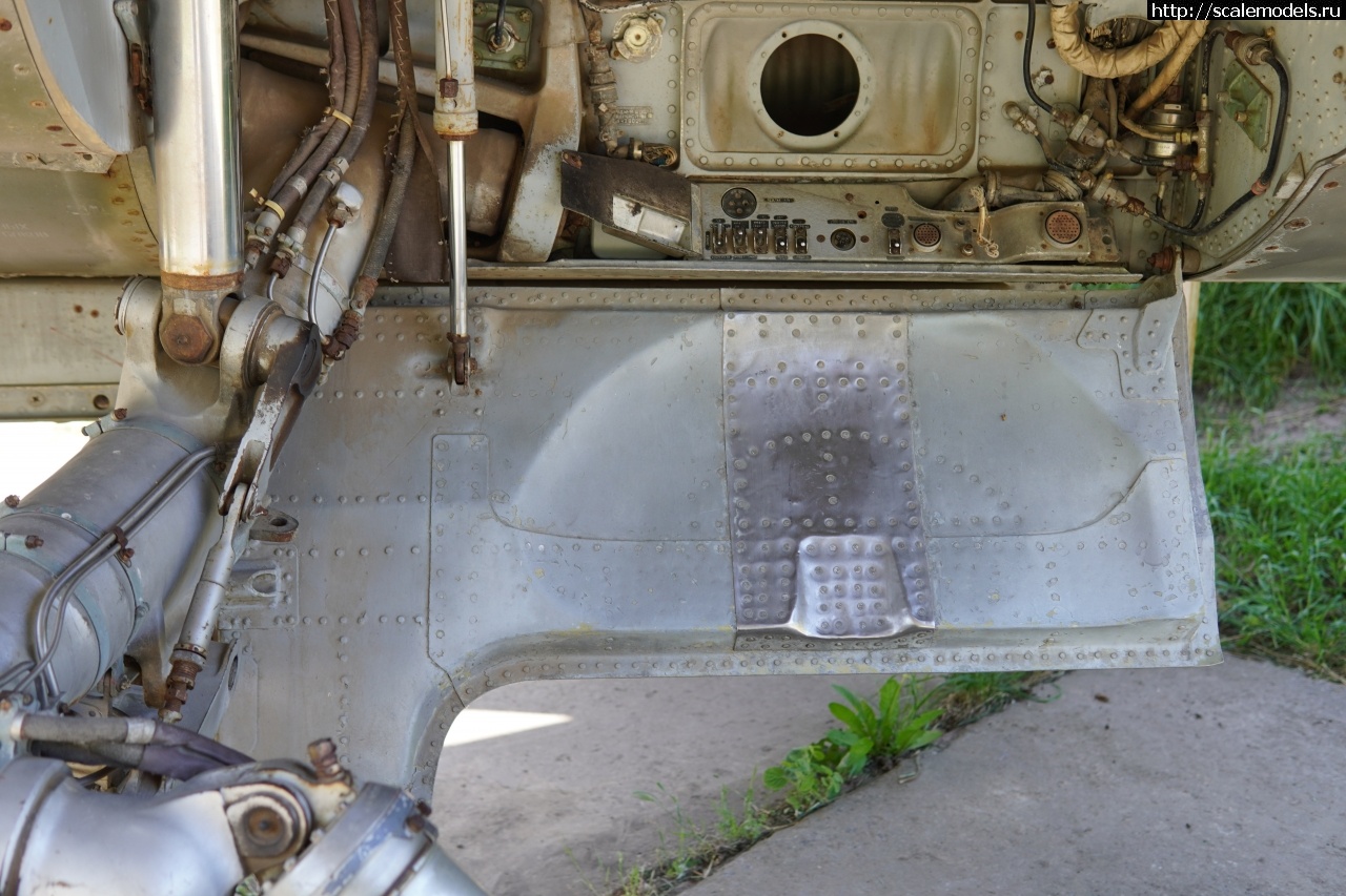 1757828599_IMG_6247.JPG : Walkaround -23   