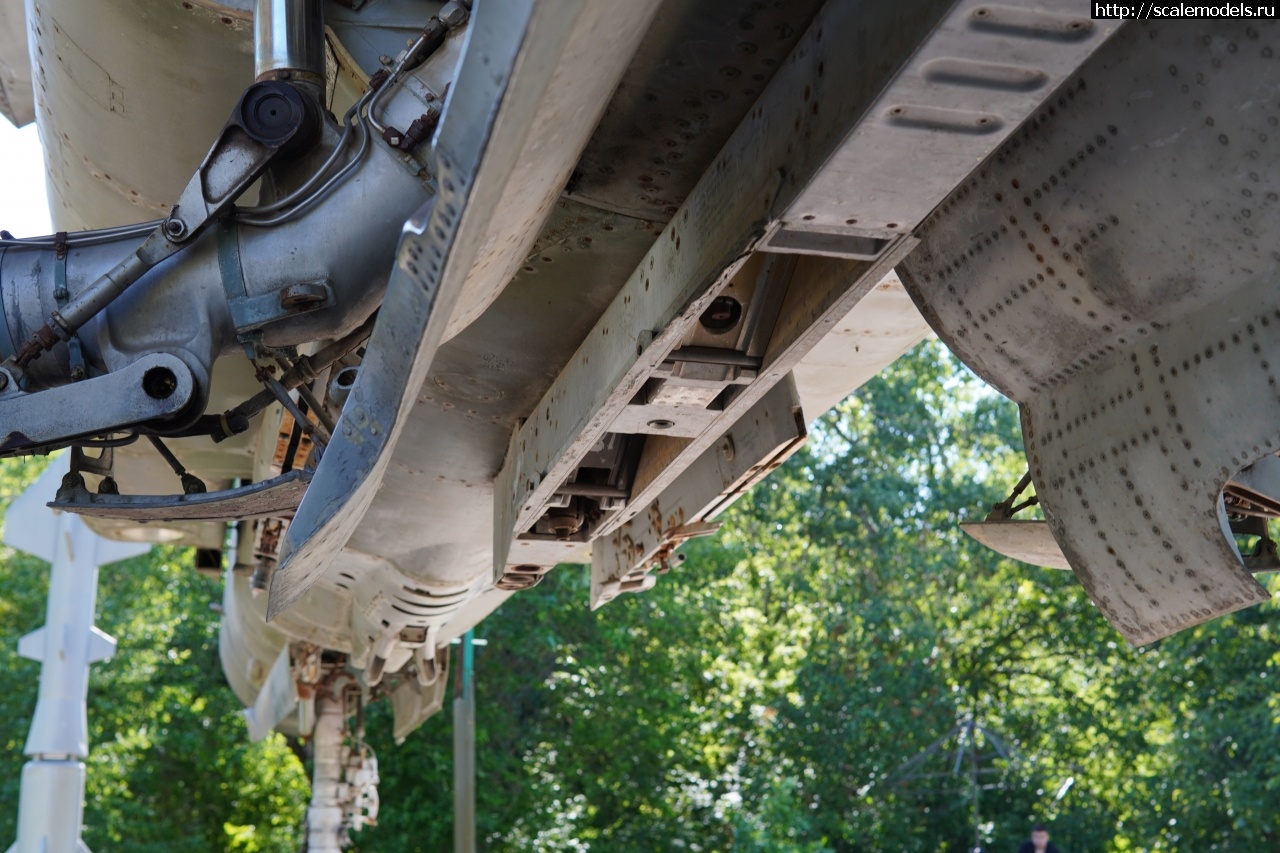 1757828743_IMG_6256.JPG : Walkaround -23   