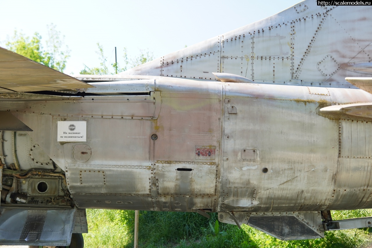 1757828854_IMG_6263.JPG : Walkaround -23   