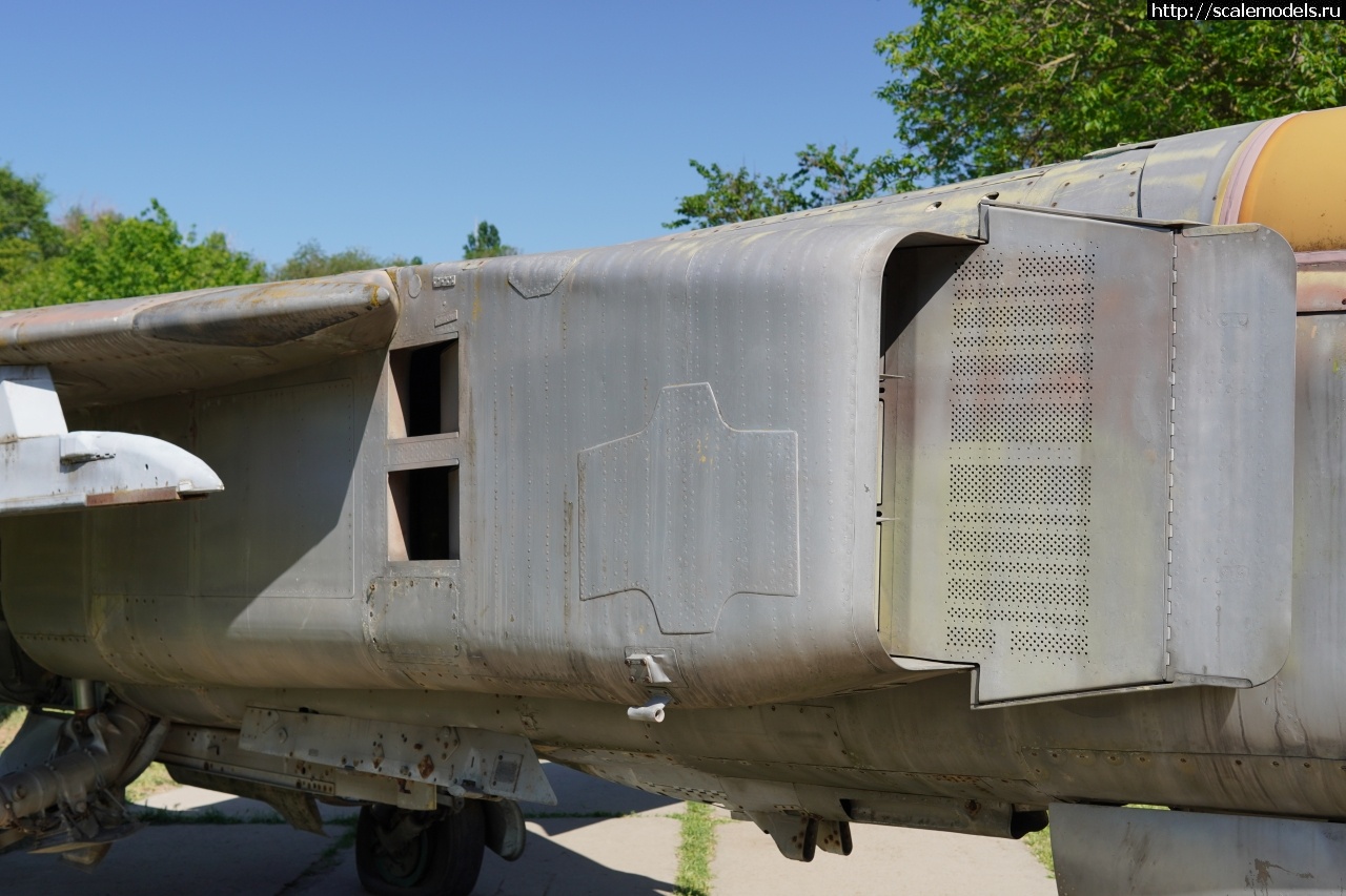 1757829392_IMG_6295.JPG : Walkaround -23   