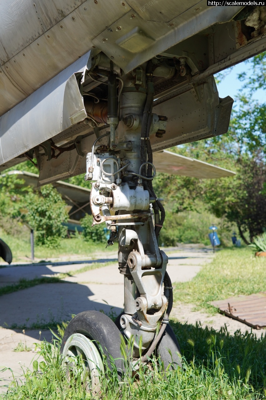 1757829410_IMG_6296.JPG : Walkaround -23   