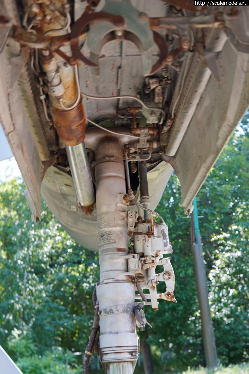 1757829463_IMG_6299.JPG : Walkaround -23   