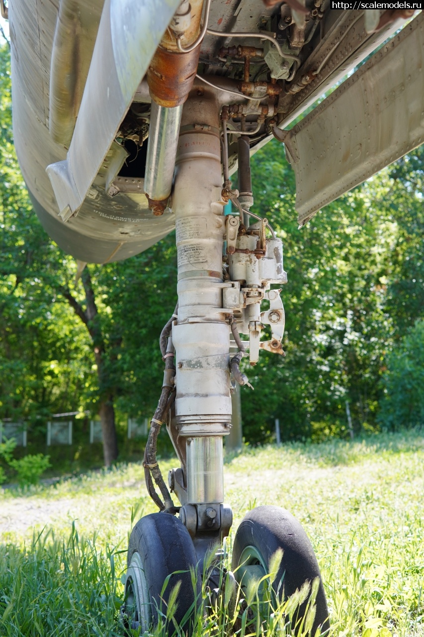 1757829497_IMG_6301.JPG : Walkaround -23   