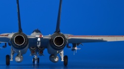 Hasegawa 1/72 F-14A Tomcat: 1757164273_14.JPG