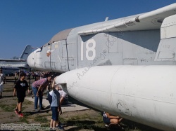 Walkaround -24 (Sukhoi Su-24M)