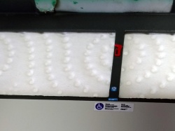 -5299-40.57 CNG: 1758603474_P_20250323_104303.jpg