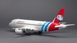  1/144 SSJ  100 : 1759091147_Model013.JPG