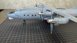 Roden 1/72 -12: 1759396679_IMG_6708.jpeg