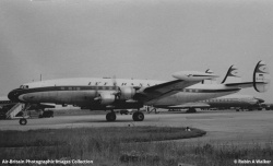  Revell 1/144 L 1049G Super Constellation: 1760876518_179-1088679-large.jpg