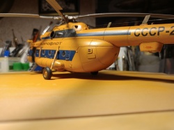 AMK AvantGarde 1/48 -8: 1761717030_IMG20251013172801.jpg