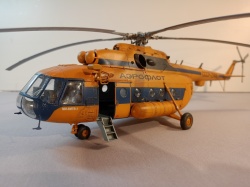 AMK AvantGarde 1/48 -8: 1761717125_IMG20251014100058_01.jpg