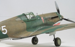 G.W.H 1/32 Flying Tigers Curtiss Hawk 81-A2: 1761918089_IMG_1696.jpg