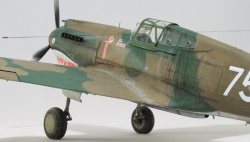 G.W.H 1/32 Flying Tigers Curtiss Hawk 81-A2: 1761918094_IMG_1697.jpg