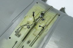 G.W.H 1/32 Flying Tigers Curtiss Hawk 81-A2: 1761918253_07.jpg