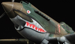 G.W.H 1/32 Flying Tigers Curtiss Hawk 81-A2: 1761918933_29.jpg