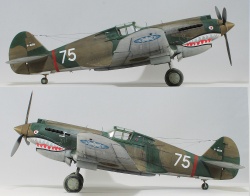 G.W.H 1/32 Flying Tigers Curtiss Hawk 81-A2: 1761919129_4-1.jpg