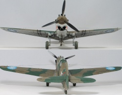 G.W.H 1/32 Flying Tigers Curtiss Hawk 81-A2: 1761919134_IMG_1669.jpg