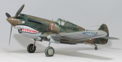 G.W.H 1/32 Flying Tigers Curtiss Hawk 81-A2: 1761919138_IMG_1677.jpg