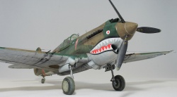 G.W.H 1/32 Flying Tigers Curtiss Hawk 81-A2: 1761919174_IMG_1700.jpg