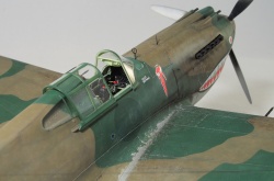 G.W.H 1/32 Flying Tigers Curtiss Hawk 81-A2: 1761919181_IMG_1702.jpg