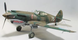 G.W.H 1/32 Flying Tigers Curtiss Hawk 81-A2: 1761919192_IMG_1706.jpg