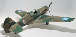 G.W.H 1/32 Flying Tigers Curtiss Hawk 81-A2: 1761919197_IMG_1709.jpg