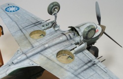 G.W.H 1/32 Flying Tigers Curtiss Hawk 81-A2: 1761919201_IMG_1713.jpg