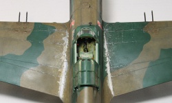 G.W.H 1/32 Flying Tigers Curtiss Hawk 81-A2: 1761919215_IMG_1726.jpg