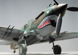 G.W.H 1/32 Flying Tigers Curtiss Hawk 81-A2: 1761919231_IMG_1734.jpg