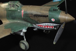 G.W.H 1/32 Flying Tigers Curtiss Hawk 81-A2: 1761919241_IMG_1756.jpg