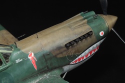G.W.H 1/32 Flying Tigers Curtiss Hawk 81-A2: 1761919246_IMG_1757.jpg