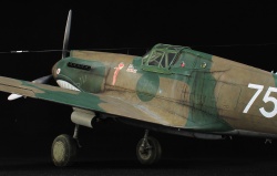 G.W.H 1/32 Flying Tigers Curtiss Hawk 81-A2: 1761919276_IMG_1767.jpg