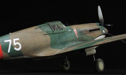 G.W.H 1/32 Flying Tigers Curtiss Hawk 81-A2: 1761919286_IMG_1768.jpg