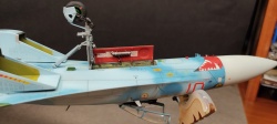 HobbyBoss 1/48 -27 1 : 1762274071_IMG_20251030_135800.jpg