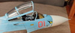 HobbyBoss 1/48 -27 1 : 1762274103_IMG_20251030_142024.jpg