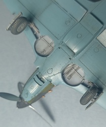 Dog Fighter Modes 1/72 -7 -     -  ...: 1764657993_IMG_20251124_102116.jpg