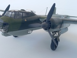 Revell 1/48 Do-217-5, : 1764710290_IMG_20251104_130426.jpg