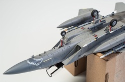 Fine Molds 1/72 F-15C Eagle ANG: 1766749681_DSC_8926.jpg