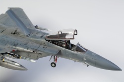 Fine Molds 1/72 F-15C Eagle ANG: 1766749684_DSC_8939.jpg