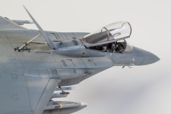 Fine Molds 1/72 F-15C Eagle ANG: 1766749684_DSC_8941.jpg