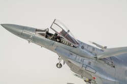 Fine Molds 1/72 F-15C Eagle ANG: 1766749685_DSC_8942.jpg