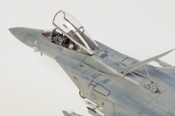 Fine Molds 1/72 F-15C Eagle ANG: 1766749685_DSC_8944.jpg