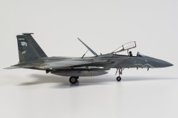 Fine Molds 1/72 F-15C Eagle ANG: 1766749687_DSC_8951.jpg